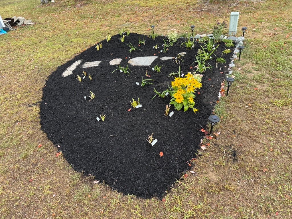 Fenway Park Garden finished — stepping stones, solar lights, and yellow blooms