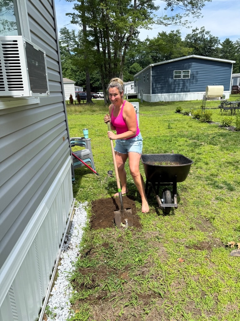 The culprit caught in the act — shovel in hand digging the Side Garden