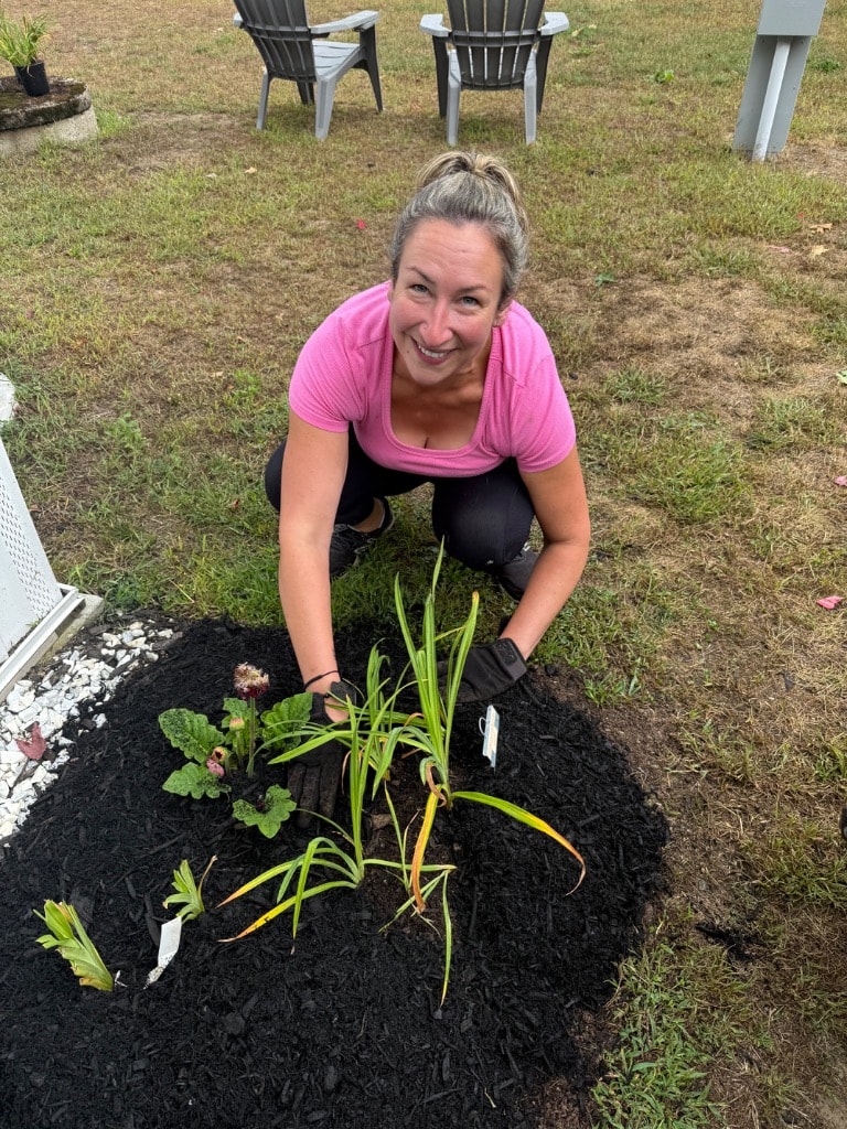 Smiling gardener planting daylily babies in fresh black mulch — expansion complete