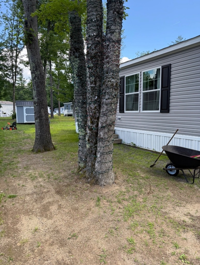 Where it all began — the original garden space