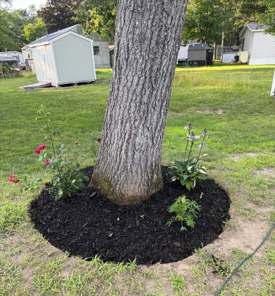 Jenna and Raegan's garden around a tree