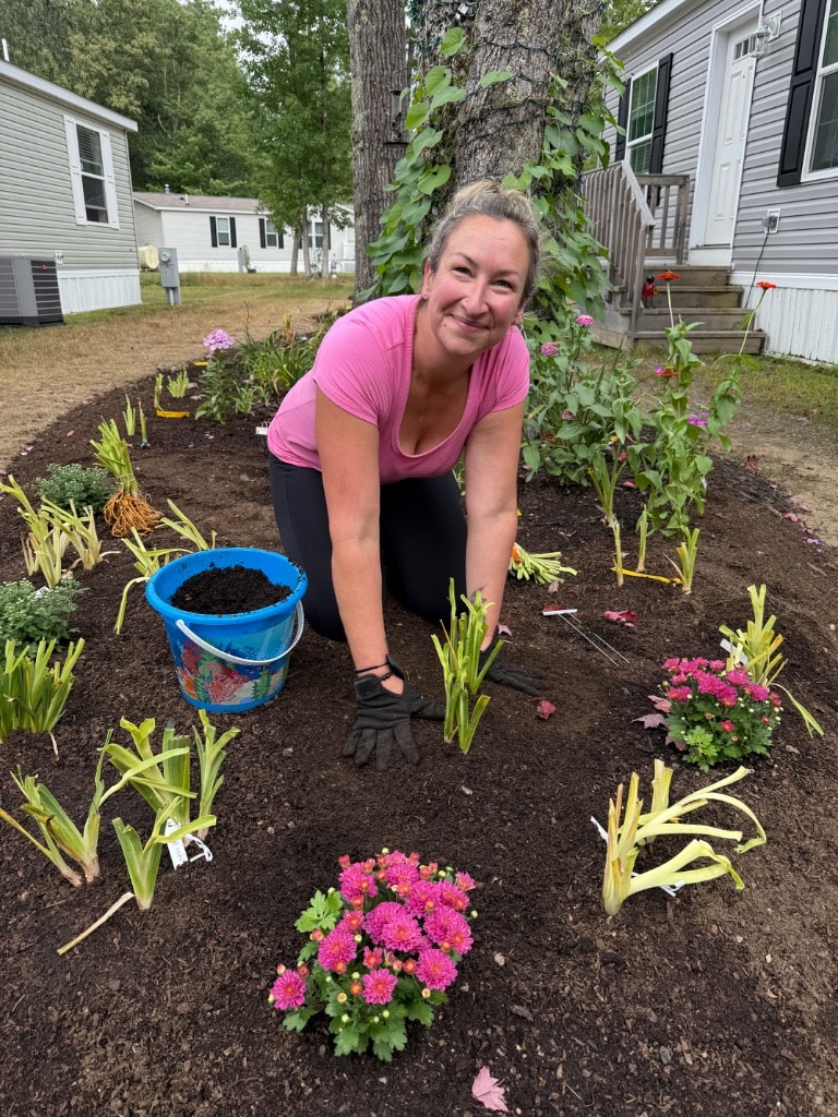 Woman smiling while planting daylilies in a fresh garden bed surrounded by labeled fans and pink mums